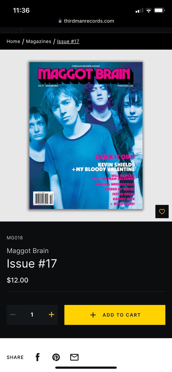 There is an article about/interview with me in the new issue of Third Man Records’ music magazine Maggot Brain. Thanks so much to the great Jay Ruttenberg of the Lowbrow Reader journal for initiating and writing the piece. It’s only a physical magazine and not on the internet.
