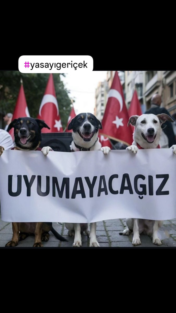 DemirhisarEda's tweet photo. #YasayıGeriÇek https://t.co/vTQ7Pmt6T9