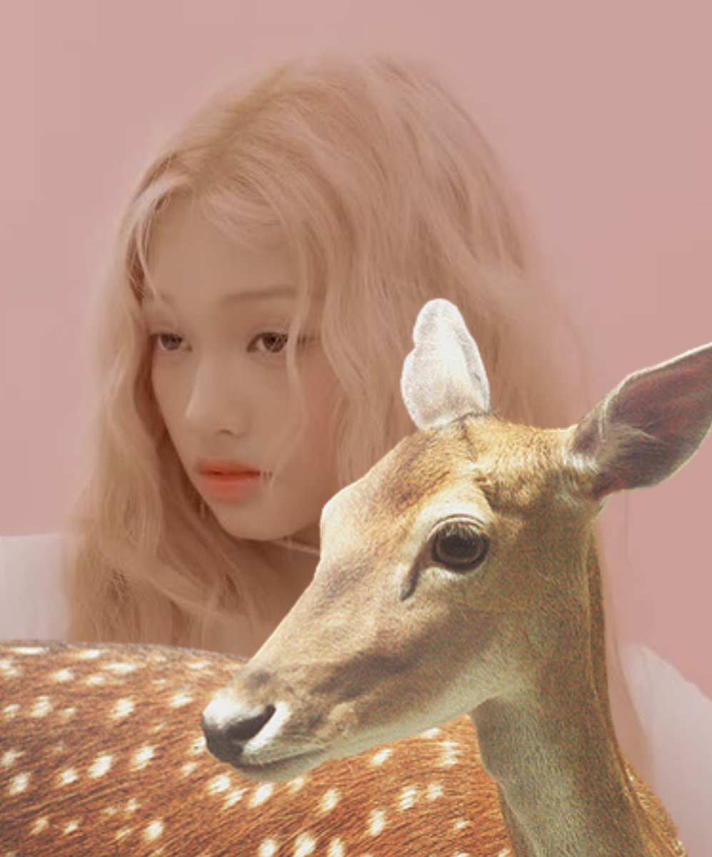 cloudnoons's tweet photo. i'm so happy about how this turned out 😭💖 gehlee &amp; deer fanart finished !! what do you guys think ??

#bardixgehlee #GEHLEE #GEHLEEDANGCA #fanart #유니스 #UNIS @UNIS_offcl https://t.co/CxFEA4wb1r