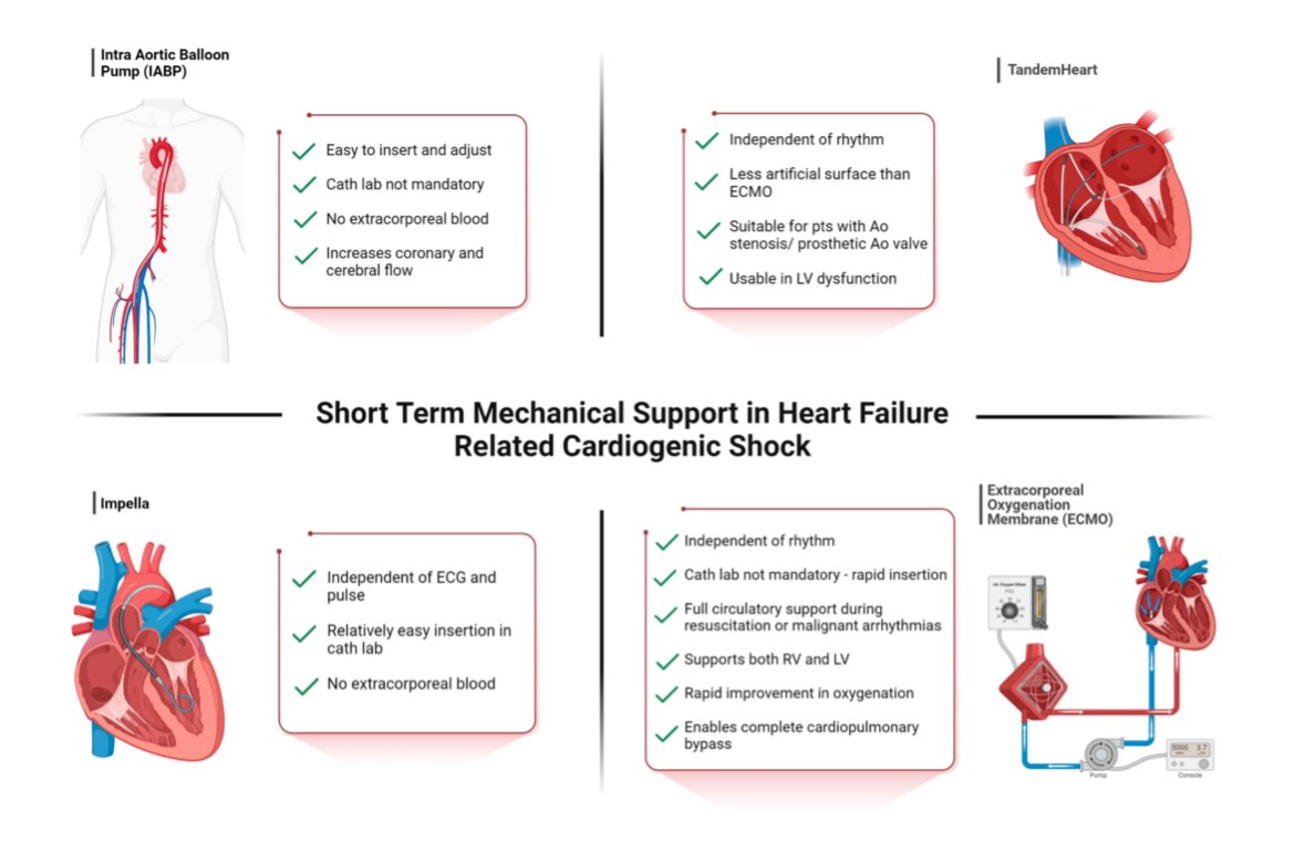 vlachpanos's tweet photo. 🔥Just released! Our 📝 in @JCM_MDPI  explores the unmet needs and gaps in the use of tMCS for HF-related 🫀shock. Emphasizing a 👵 approach, we 📸 the imp of understanding each device's unique benefits in var clin scenarios.  @PTheofilis @ILeontsinis  
👉https://t.co/MhQocTZ9fl https://t.co/QTMl1cDbhd