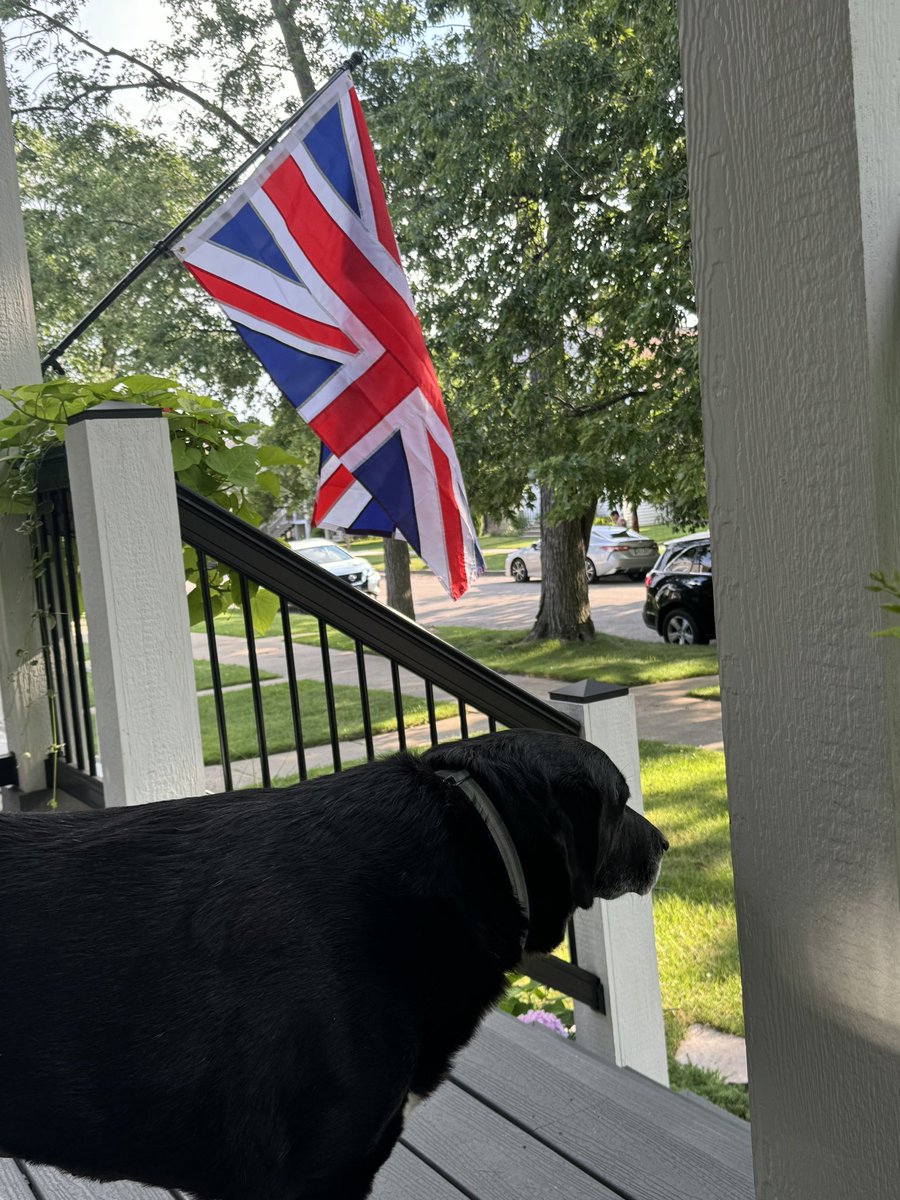 TomWhite_S's tweet photo. Time for some Football - England! #ThreeLions LFG!! #MurphyDog https://t.co/JKSLmF6s4n