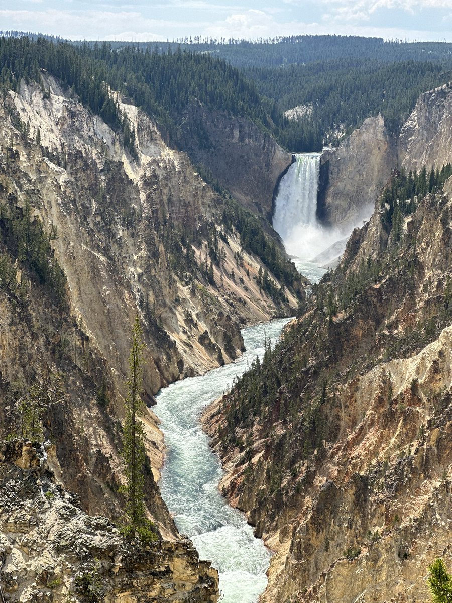 DrLisaRamirez's tweet photo. Incredible family vacation exploring some of the @NatlParkService Rocky Mountain Region parks. @BadlandsNPS @YellowstoneNPS and @TRooseveltNPS checked off the list!  Core memories made in our great land ⛰️ ❤️ https://t.co/Ei7Qi5PhVI