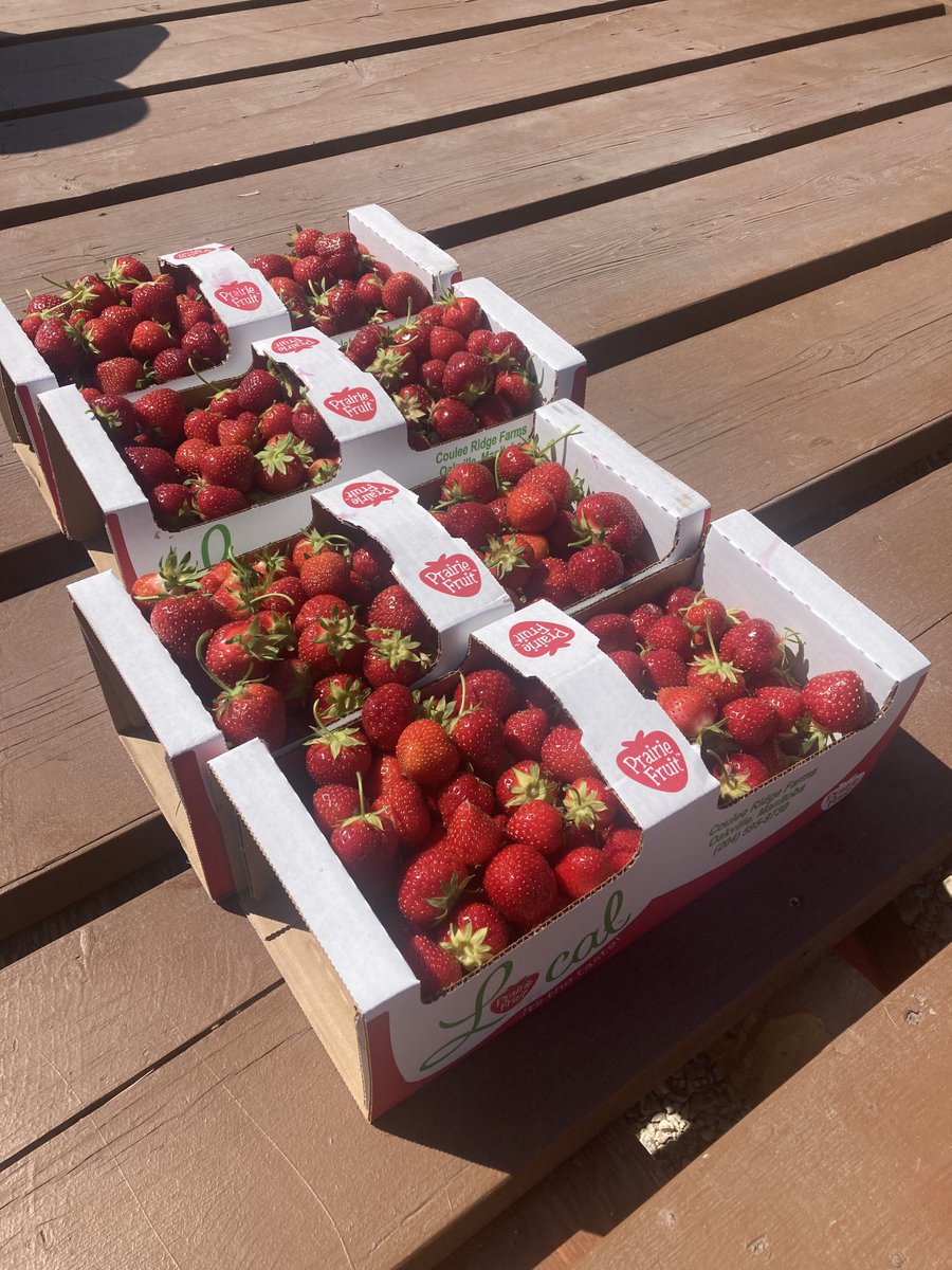 Dale Fossay tweet media