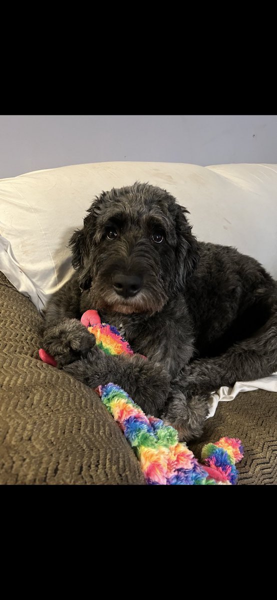 DDoxifide's tweet photo. @stevewilldoit My girls https://t.co/4Ap0NnpNKo