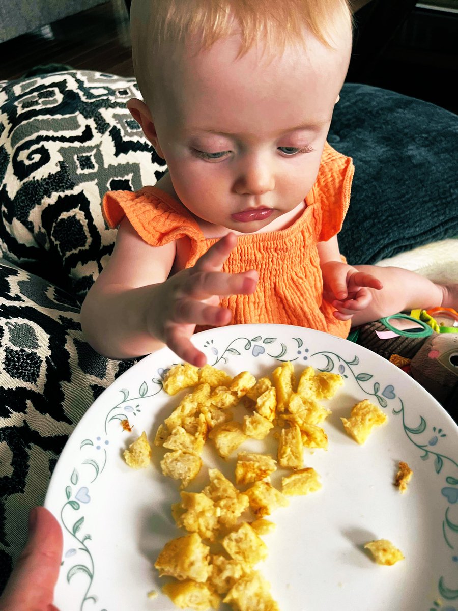 samboone_85's tweet photo. Girlie getting introduced to French Toast at Nan and Pop Boone’s. Homemade 🍞 ftw! #sundayvibes #babysfirstsummer https://t.co/katjs9XYWi
