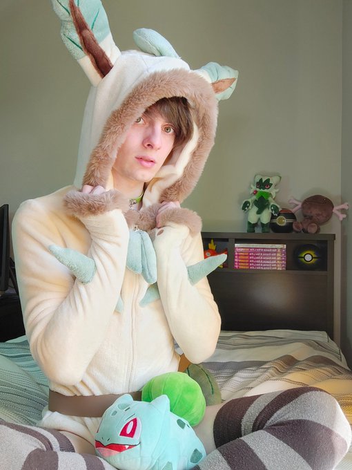 If I would be a pokemon, I think I would be a Leafeon :3 🍃 https://t.co/9i5hMkzqb6