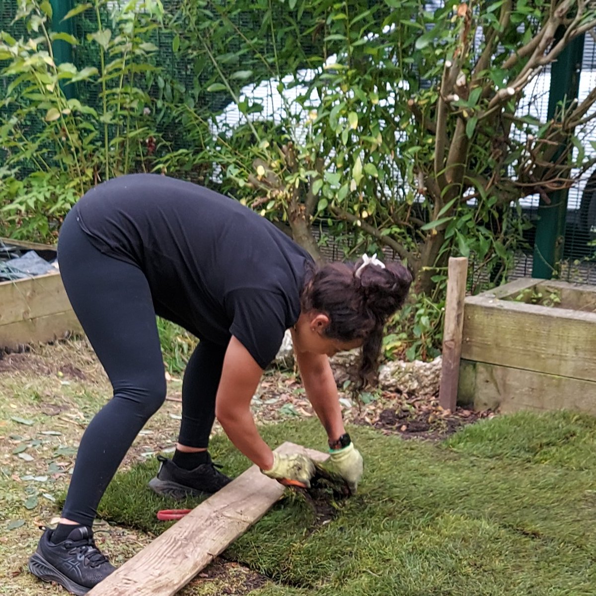 Burnage Library tweet media