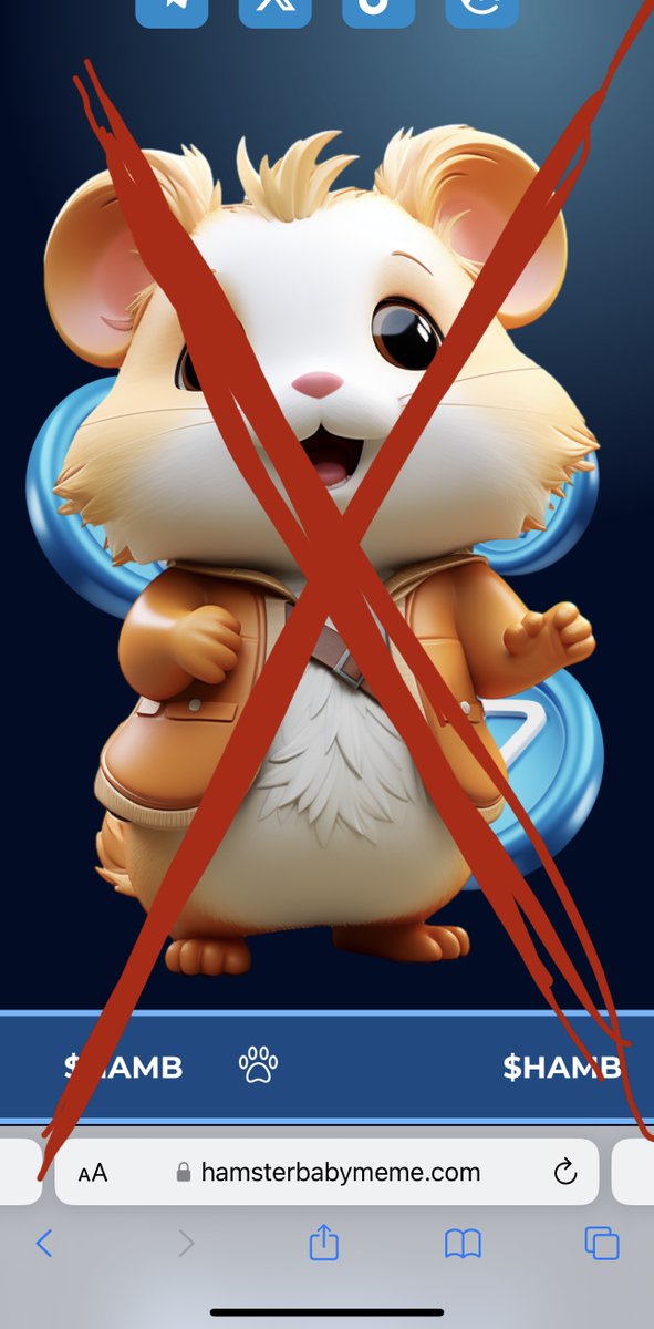 Baby Hamster (@RealBabyHamster) / Posts / X