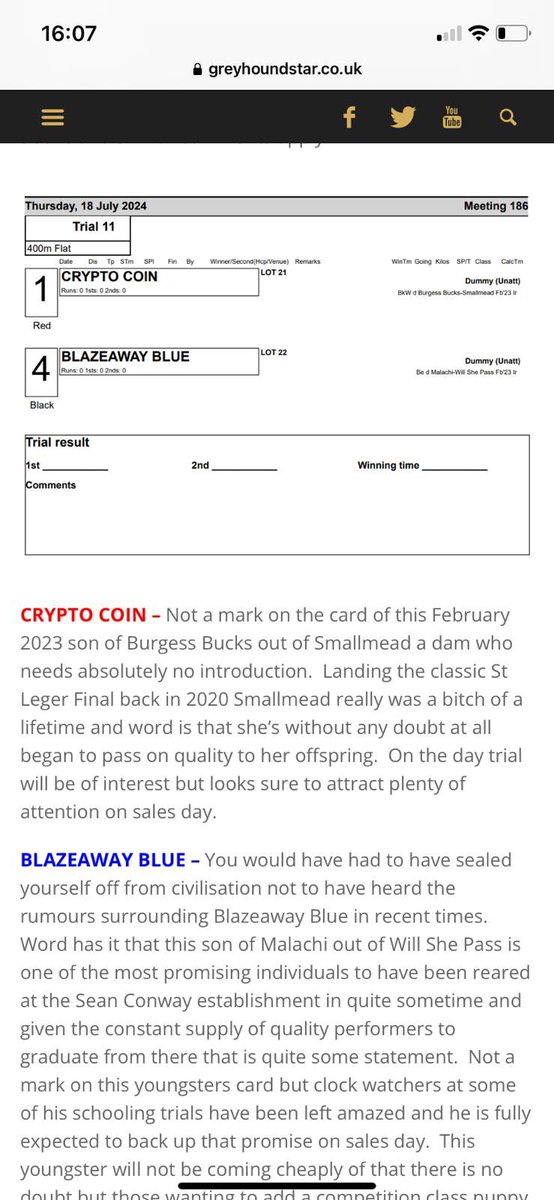 Crypto Coin in <a href="/RomfordDogs/">Romford Stadium</a> Sales Auction this coming Thursday. 
‘Coin’ Defiently be running on over the 400m will certainly get 480 and further following in Smallmead’s footsteps.
Only Feb’23 black n white dog - whole litter has great temperament and good kennellers