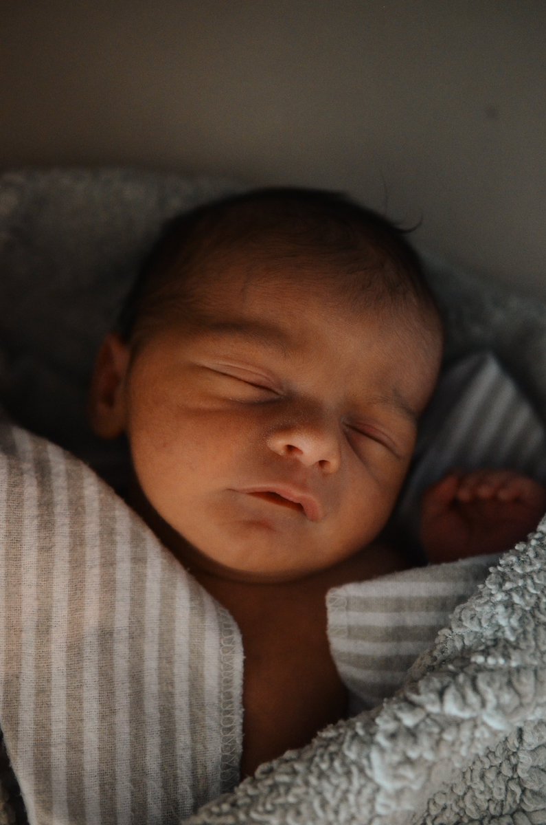 John Nick Jeddore tweet media