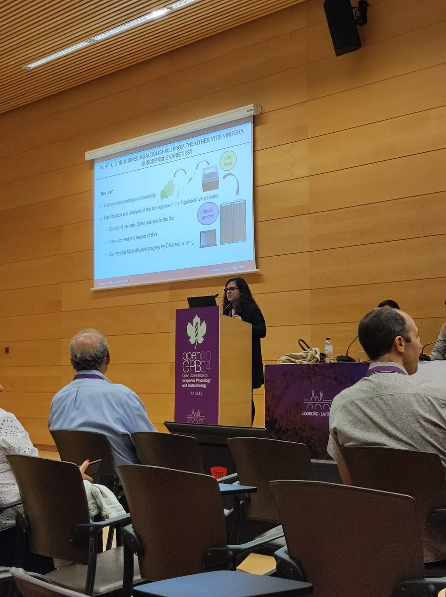 Valentina Ricciardi tweet media