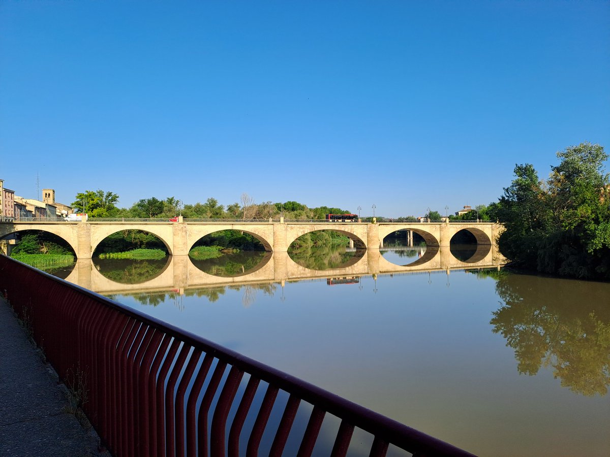 Valentina Ricciardi tweet media