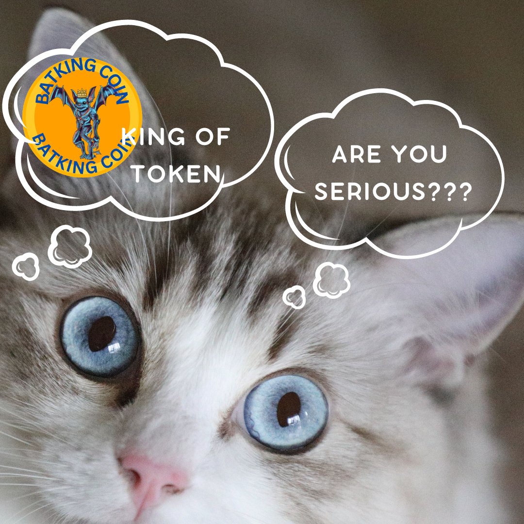 BatKing_to_moon's tweet photo. This is what others think now. $Batkng. https://t.co/a8eDMwNVsD