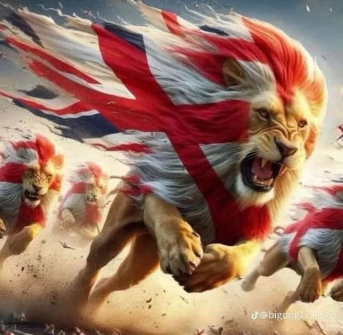 Proctor Roofing tweet media