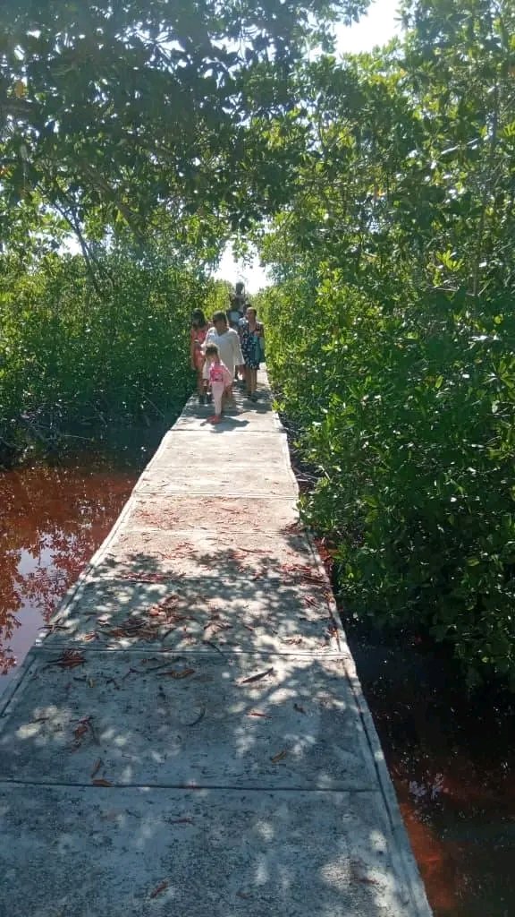 YanetsyTerry's tweet image. #ModoVerano en #ProvinciaGranma potencia los Rumbos y Sendas para el disfrute de la familia en contacto directo con la naturaleza y la historia. #PorGranmaLoMejor. @PartidoPCC @AsambleaCuba @PresidenciaCuba @GobiernoCuba @JorgeLuisPerd20 @YudelkisOrtizB