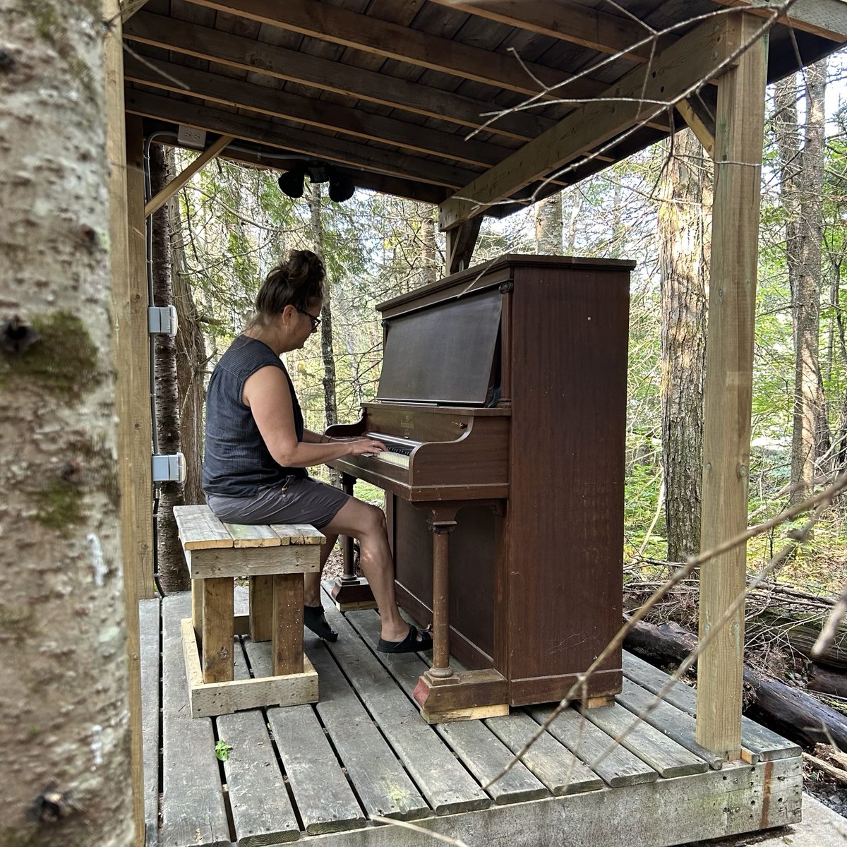 Christine Charette playing outdoor piano at Warbler's Roost in prep for her NAISA show this Thursday at 7 pm for World Listening Day #WLD24 #WLD2024 #explorealmaguin. Show info - naisa.ca/festivals/soun…