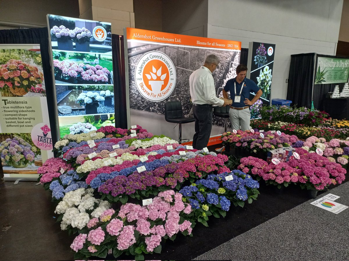 jtbrinke18's tweet photo. You 're very welcome at the booth of Aldershot #Cultivate'24 #Hydragea number 172 I am there too. Like to meet. https://t.co/uMEVYQlvGH