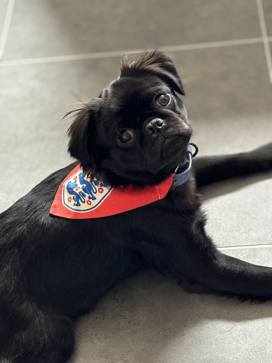 Ready for the Euros Final ❤️🤍⚽️
#SSNThreeLions