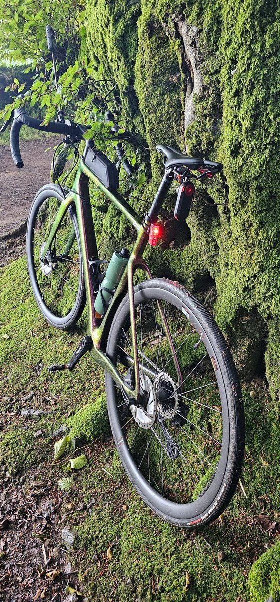 Rob He/Him - Not here tweet media