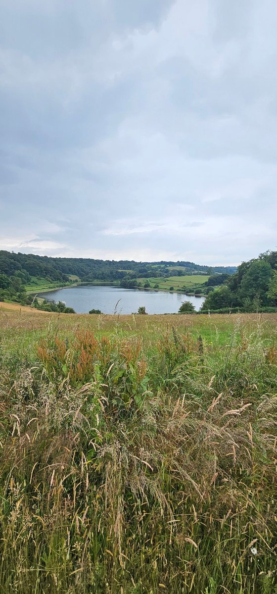 Rob He/Him - Not here tweet media