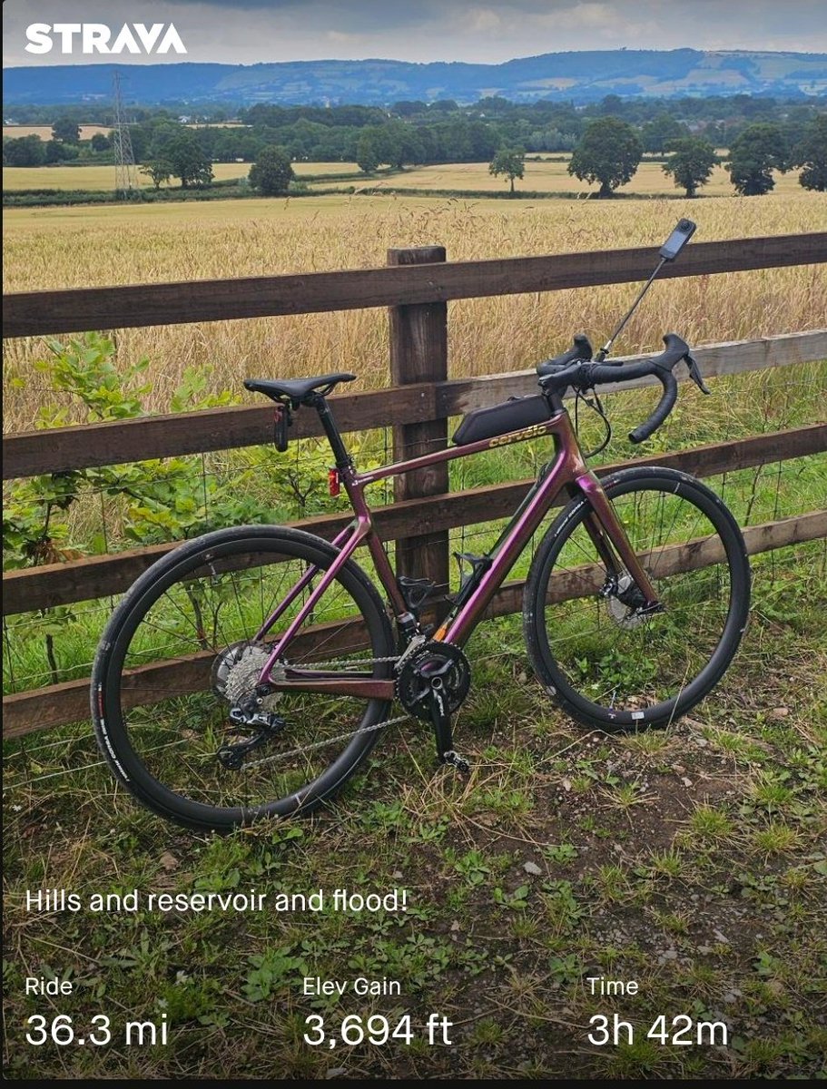 Rob He/Him - Not here tweet media