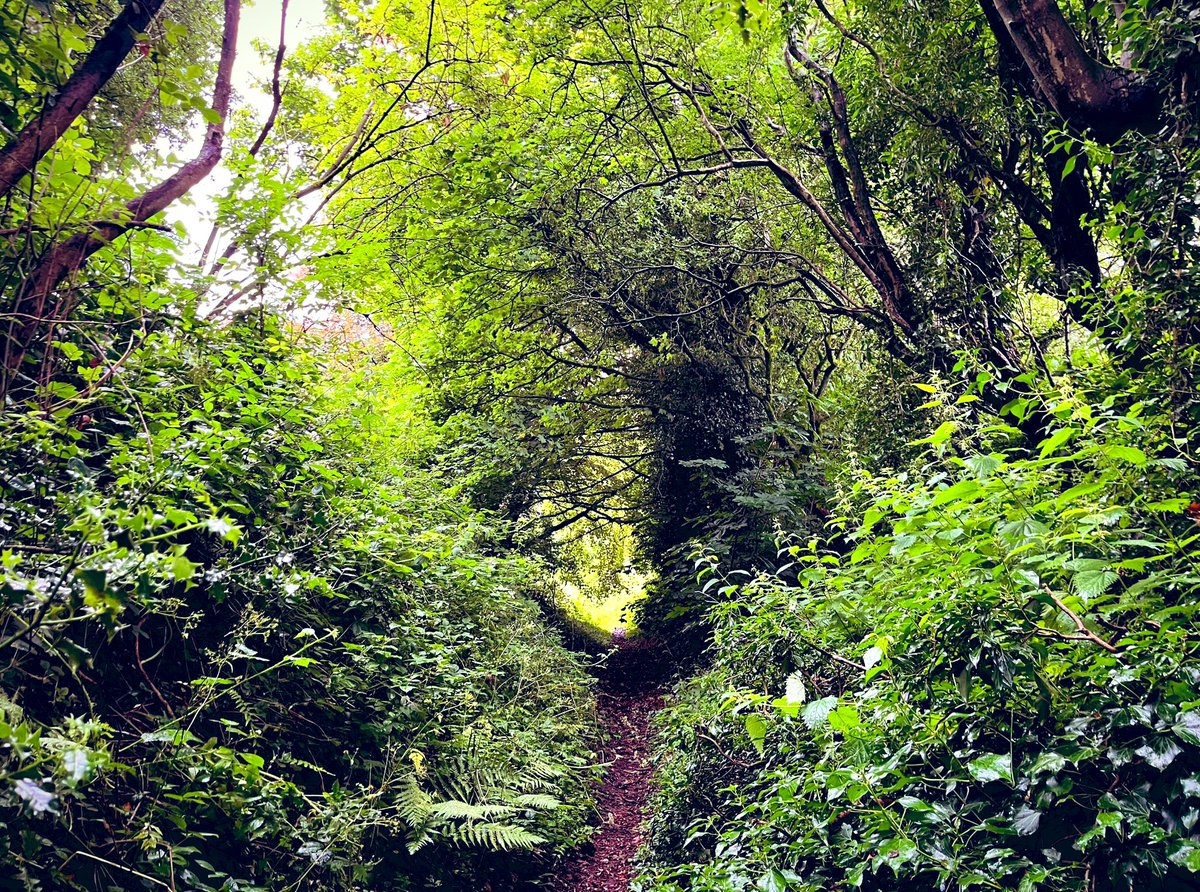 Blashy weather and clashy ground, the only thing to do is head down a dark, donk hidden holloway.