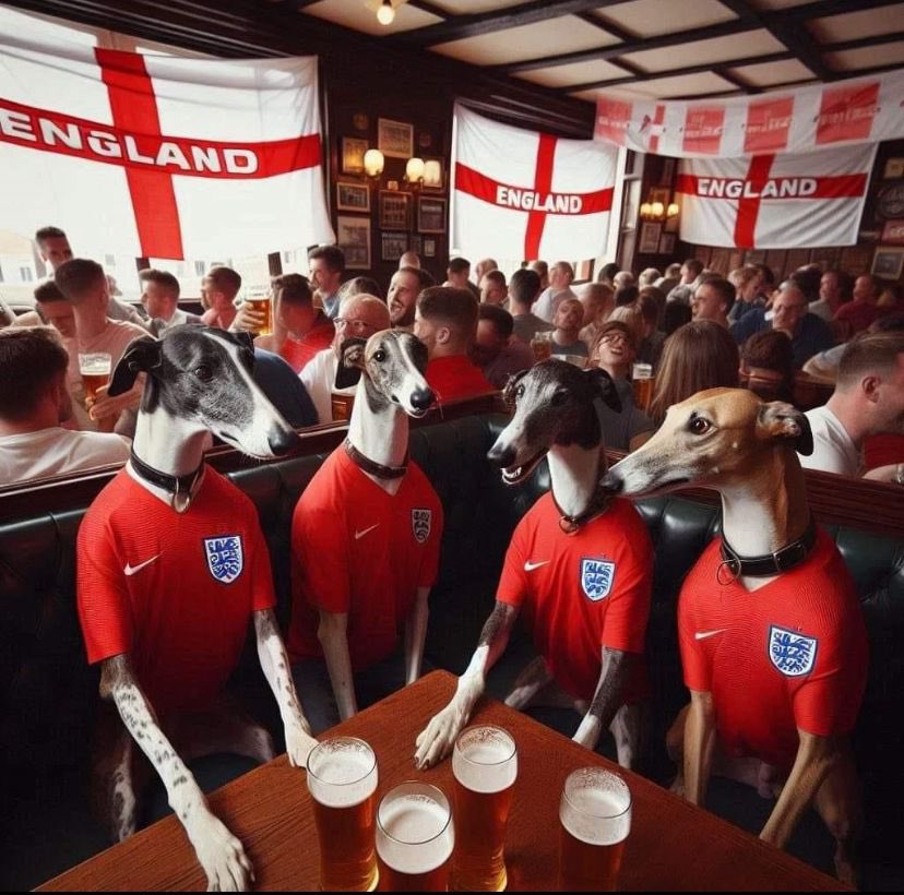 GreyhoundBoard's tweet photo. 🏴󠁧󠁢󠁥󠁮󠁧󠁿🏴󠁧󠁢󠁥󠁮󠁧󠁿🏴󠁧󠁢󠁥󠁮󠁧󠁿COME ON ENGLAND🏴󠁧󠁢󠁥󠁮󠁧󠁿🏴󠁧󠁢󠁥󠁮󠁧󠁿🏴󠁧󠁢󠁥󠁮󠁧󠁿 https://t.co/K3uMtGBLUb