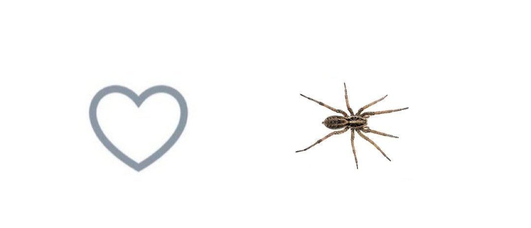 tinercimayki's tweet photo. oha favlayinca örümcek cikiyo 🕷 https://t.co/ZyN9mEtkGC