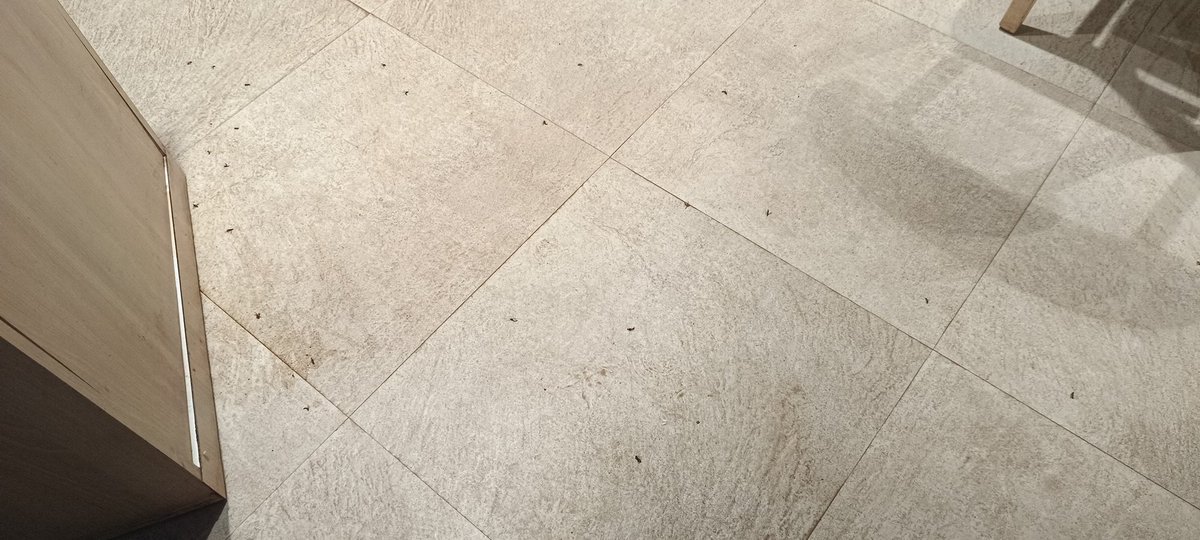 Abhishek Banerjee🇮🇳 tweet media