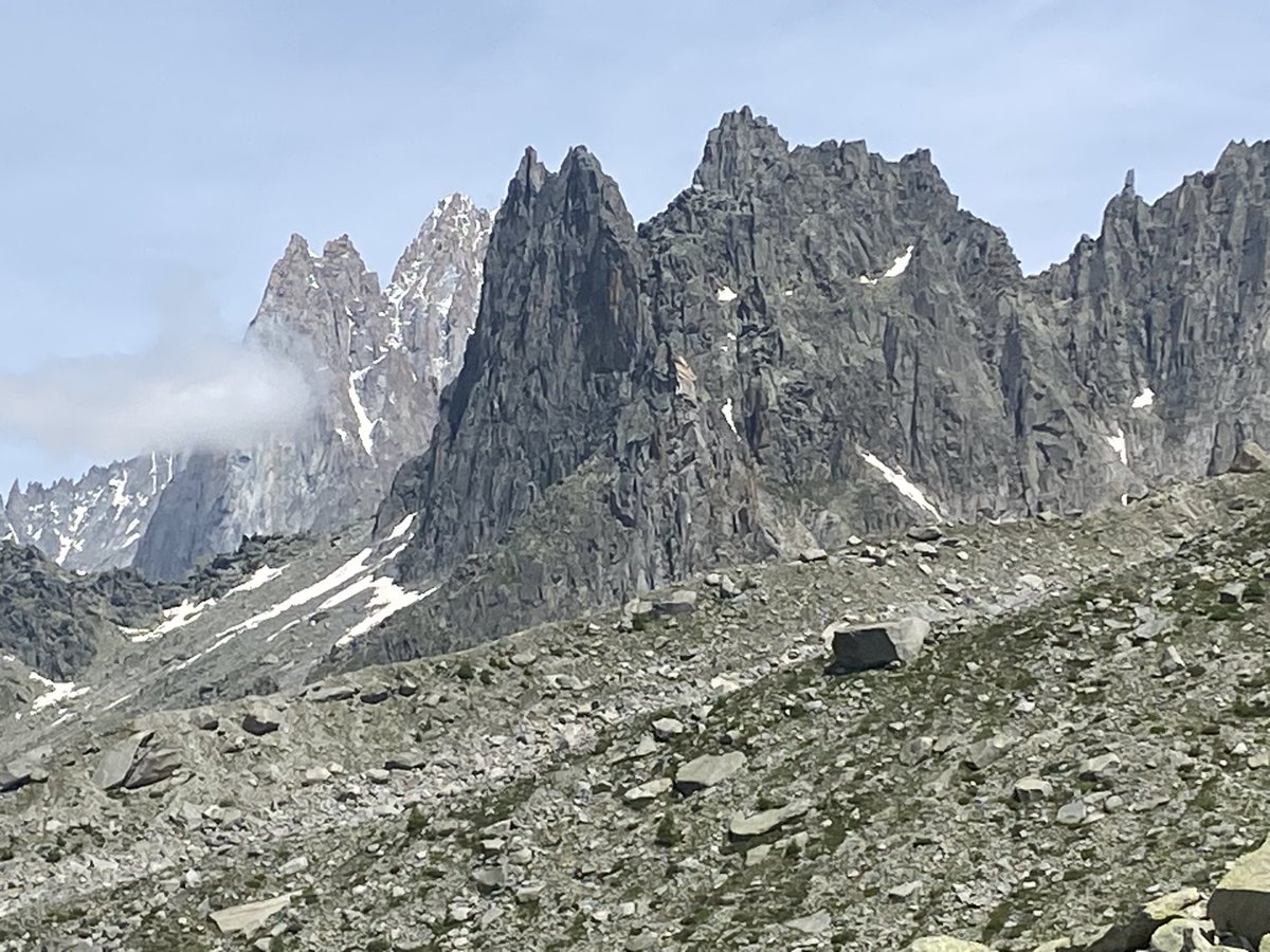 Donald Macrae tweet media