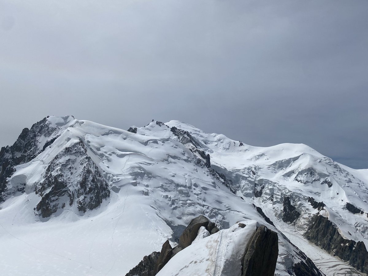 Donald Macrae tweet media