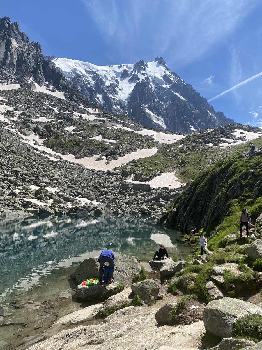 Donald Macrae tweet media