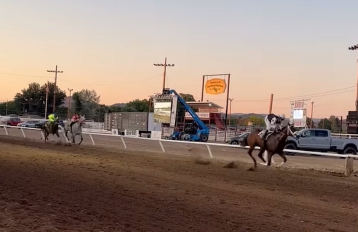 NathanTheCaller's tweet photo. In lesser known horse racing news the county fairs have a super star in Weston. A horse who yesterday at Crooked River won his 13th straight race. He initially won the Best Pal at 2 but then lost 9 races. Since 2022 he’s traveled from fair to fair unbeaten. Could he = Cigar? https://t.co/EgrQNAX3Da