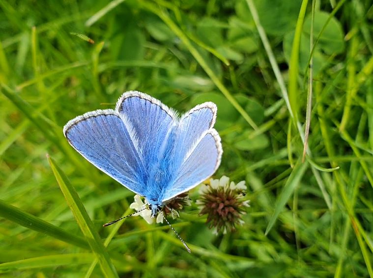 Jacquelyn Allen-Collinson 🏞️🌼🇪🇺🎸 tweet media