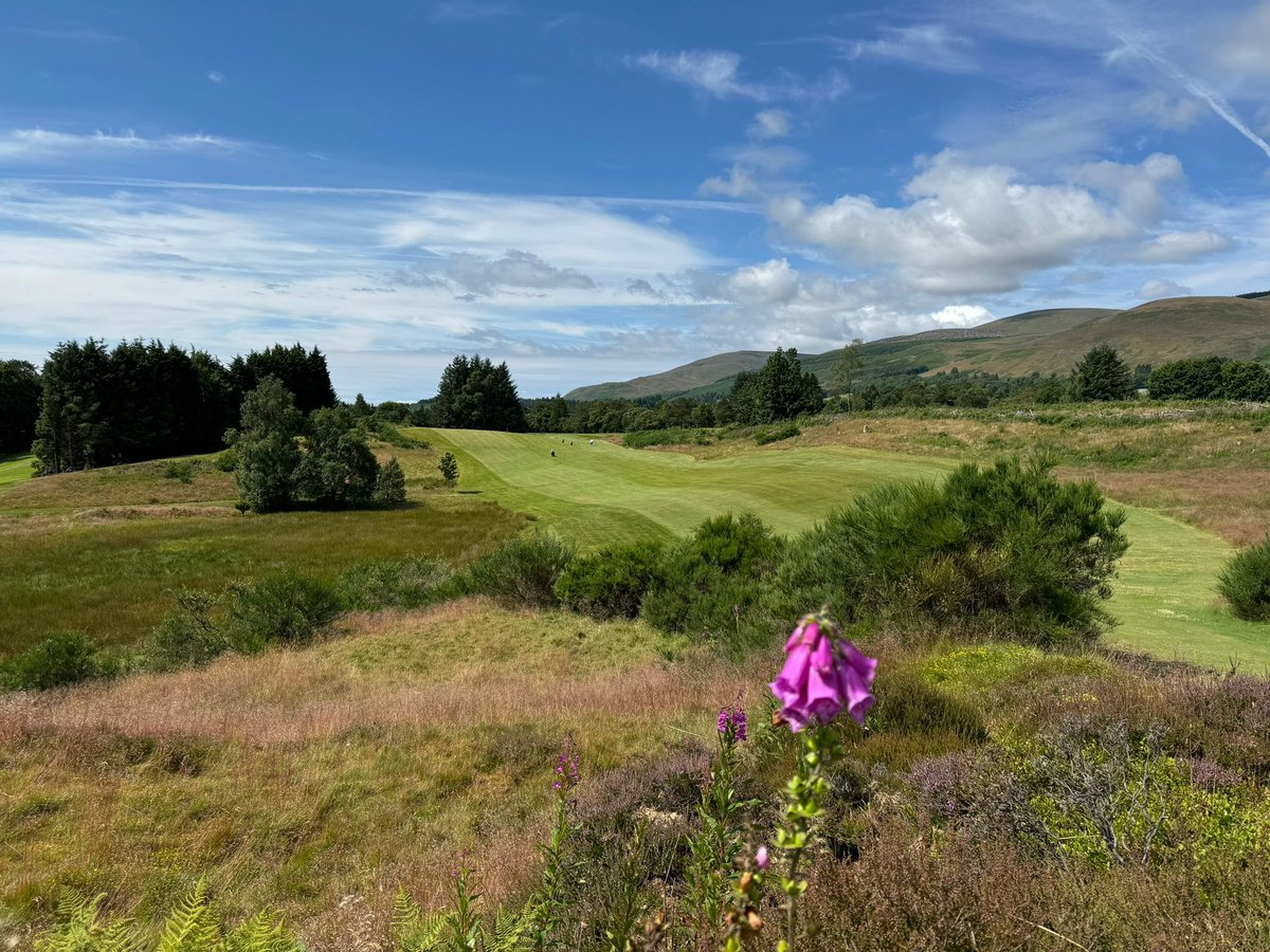 muckhartgolf's tweet photo. Thank you to all who attended our Ladies Open today! Well done to the below prize winners:

1st scratch - Rosemary Turlik
1st handicap - Jesmond McAdam
2nd handicap - Kimberley Chadwick
3rd handicap - Kirsty Garrett https://t.co/NyNKO0FL0b