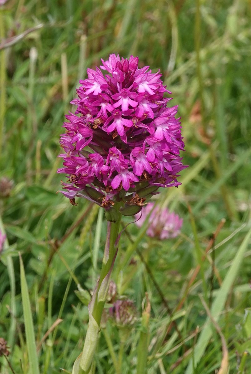 Martin Pitt tweet media