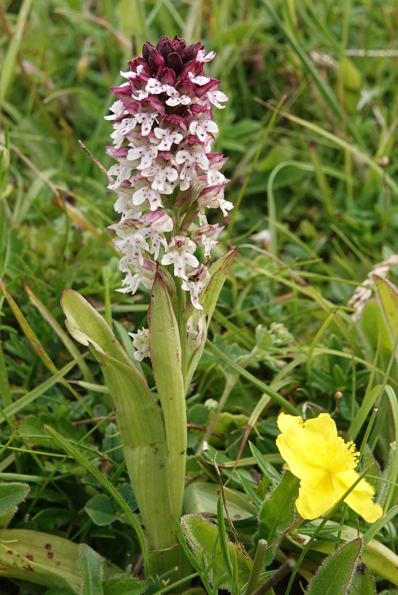 Martin Pitt tweet media