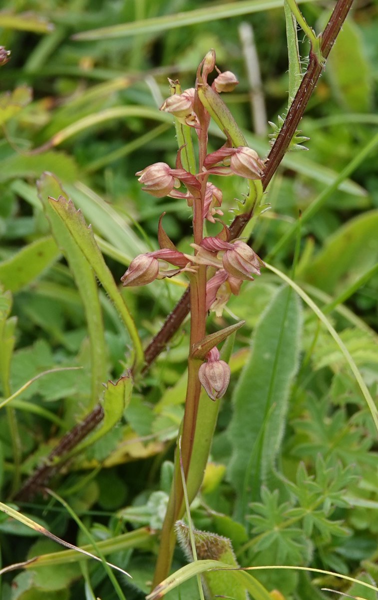 Martin Pitt tweet media