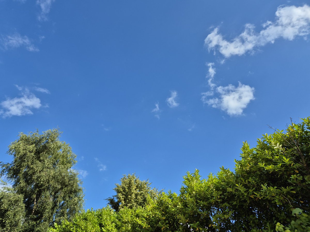 Adam Roberts tweet media