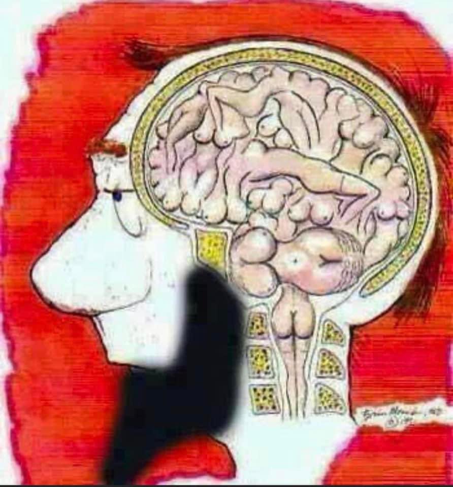 Muslim Brain