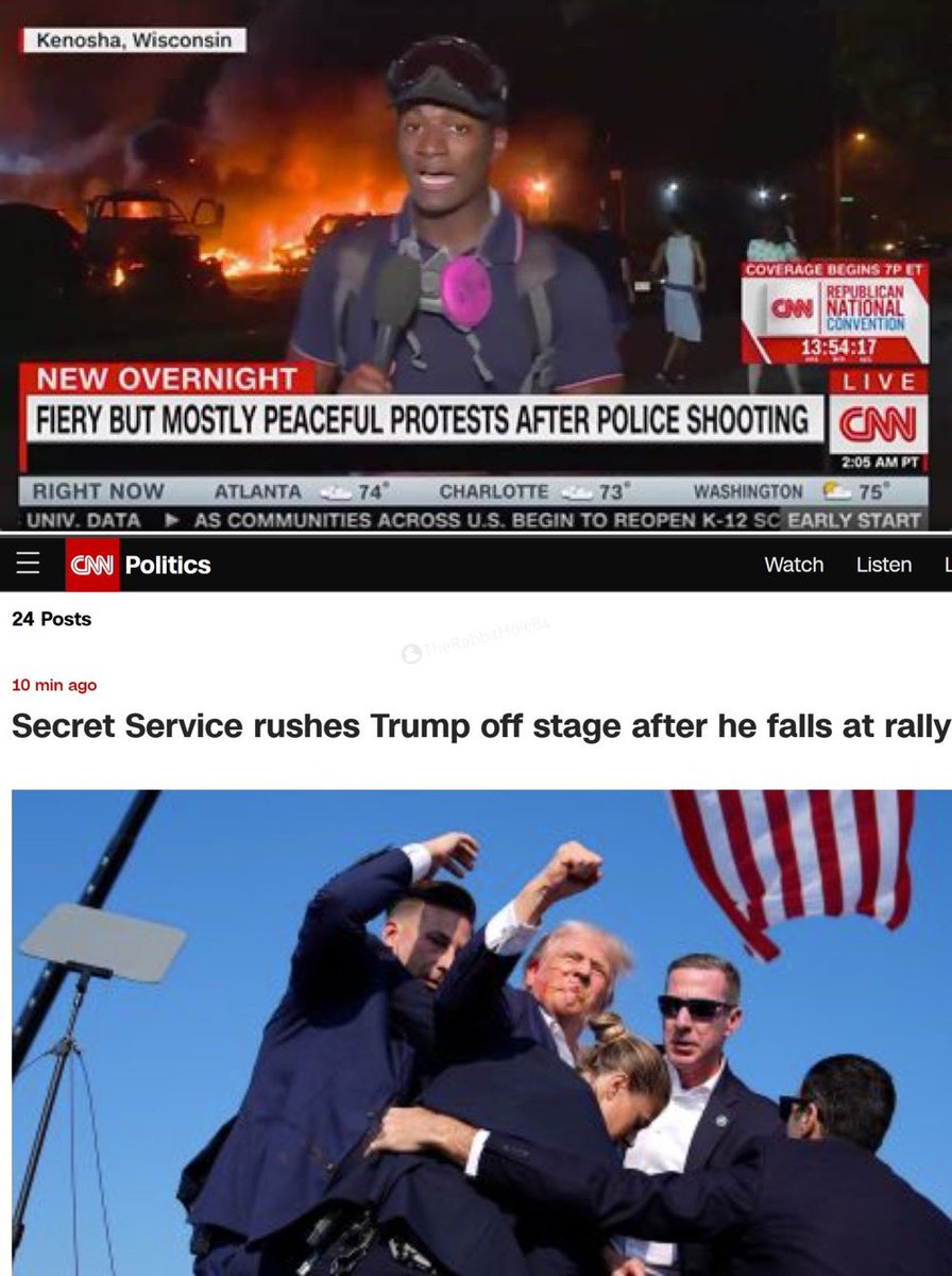 The Rabbit Hole tweet media