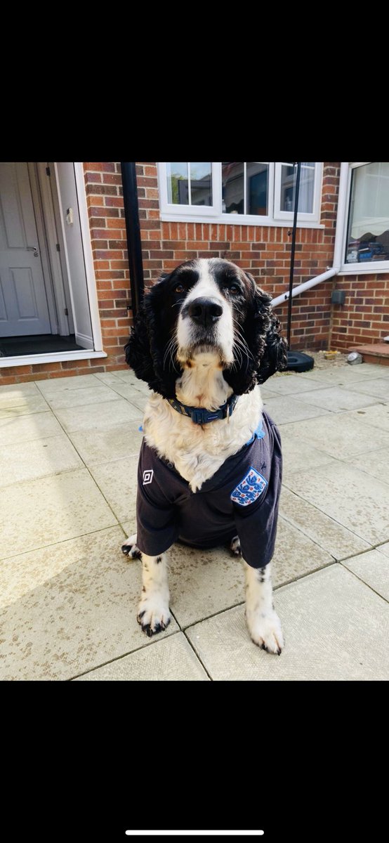 Clarkie615's tweet photo. DEXTER #SSNThreeLions https://t.co/DTSJItYnP2