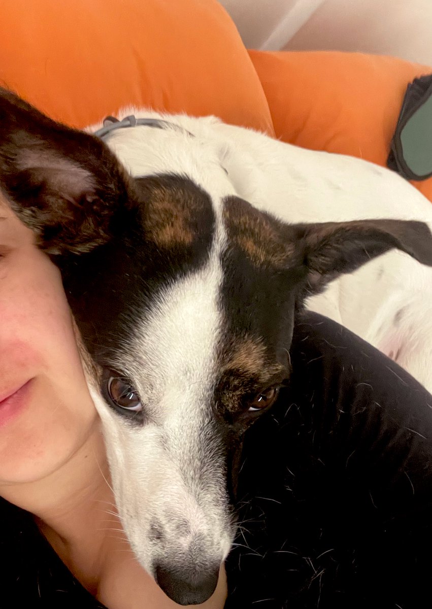 tô com um problema bem sério em casa: excesso de pêlo da cachorra em todo canto e até na comida 

mas olha essa fofura peluda
