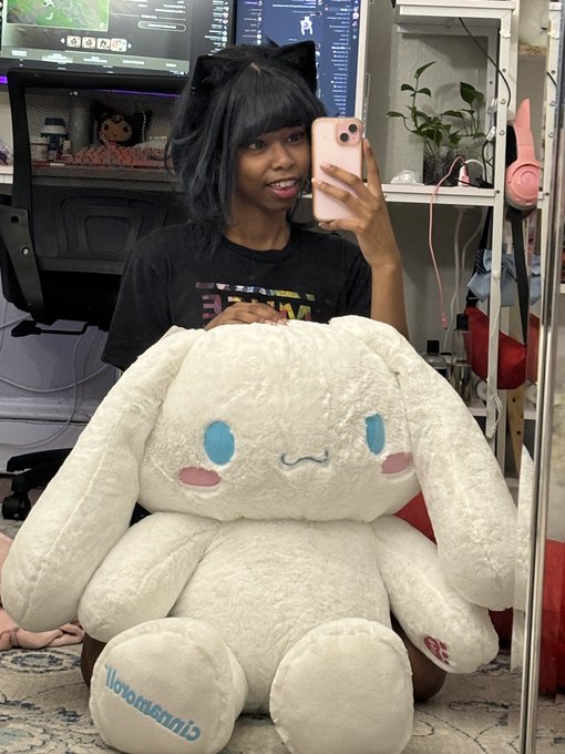new cinnamoroll came! ?? https://t.co/wXT0o7pJQq