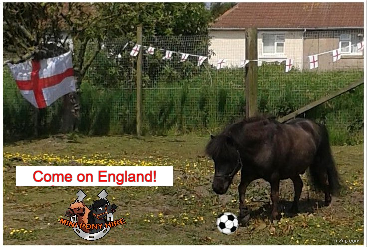 #ComeOnEngland #ThreeLions  🏴󠁧󠁢󠁥󠁮󠁧󠁿⚽️