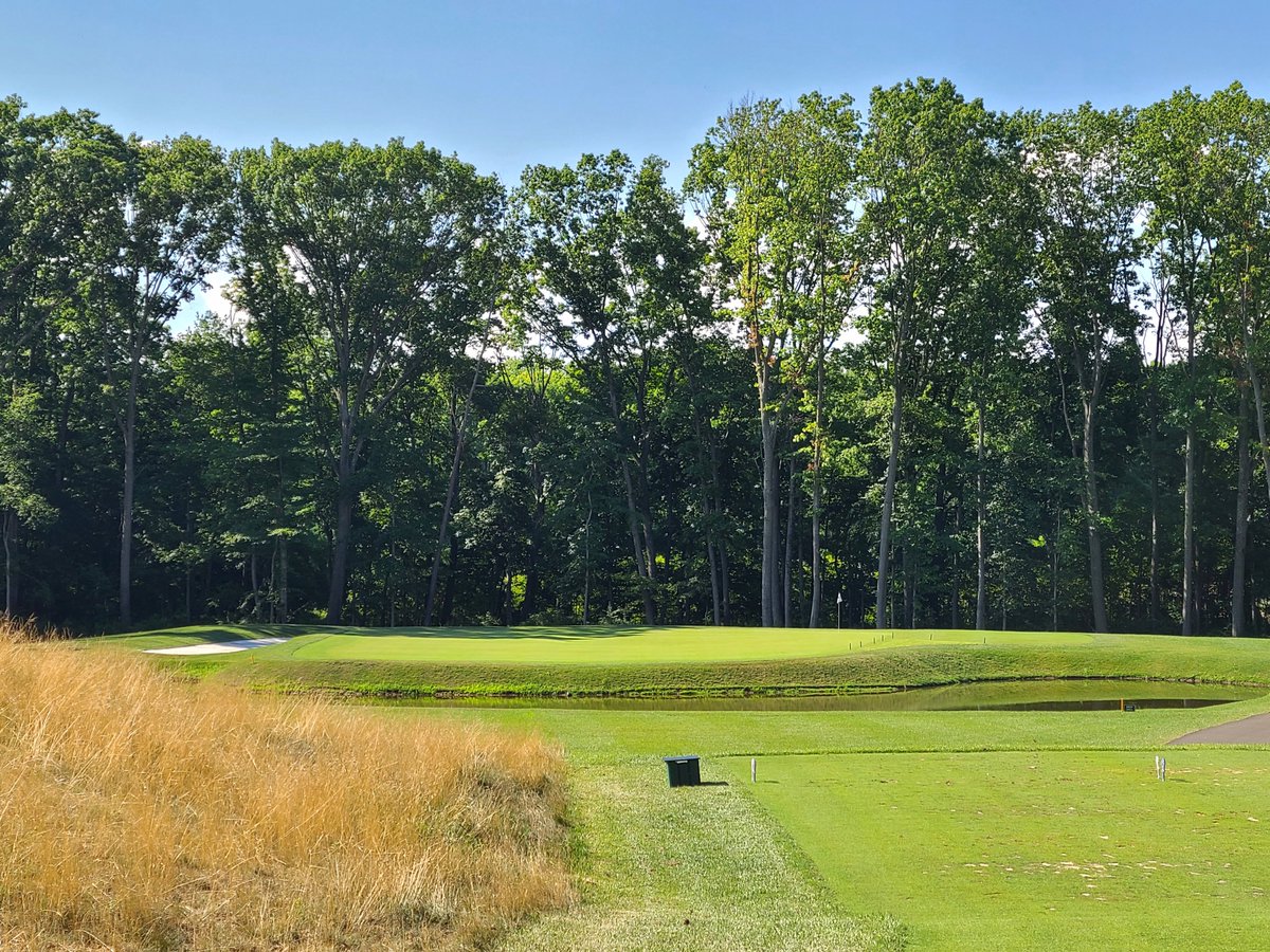 Orson Rosas Golf tweet media