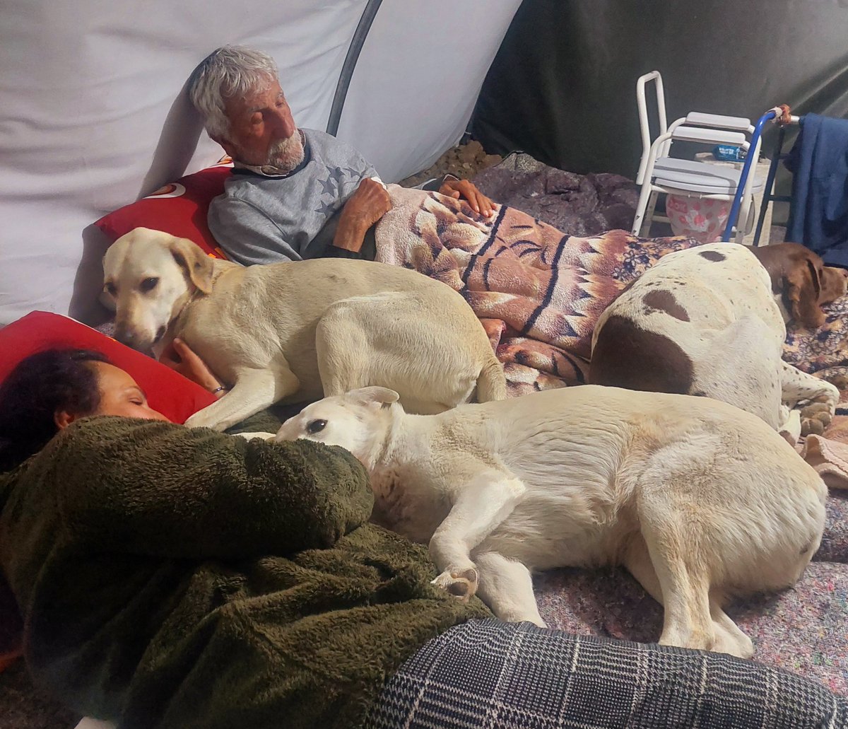 Biz deprem zamanı küçücük çadırımızı bile sevgiyle şefkatle bu canlarla paylaşan insanlarız. Deprem sonrası herkes kaçın gidin dediğinde kendi canımız pahasına asla yapmadık, hiç bir evladı korumayı bırakmadık. Ne sokakta baktığımızı ne evimiz de olanı. Şimdi de bırakmayacağım