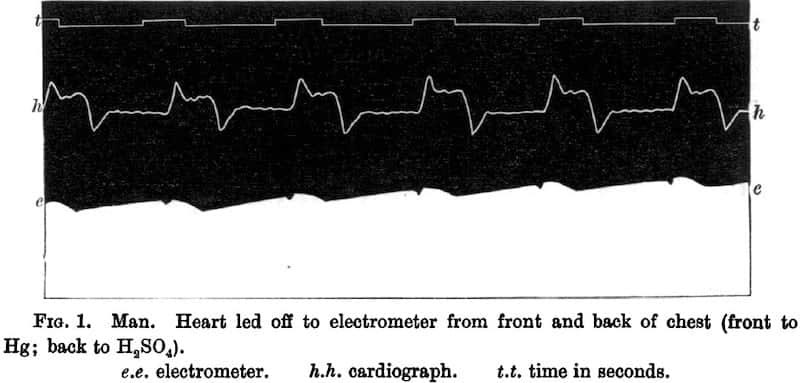 Avraham Z. Cooper, MD 🩺 tweet media