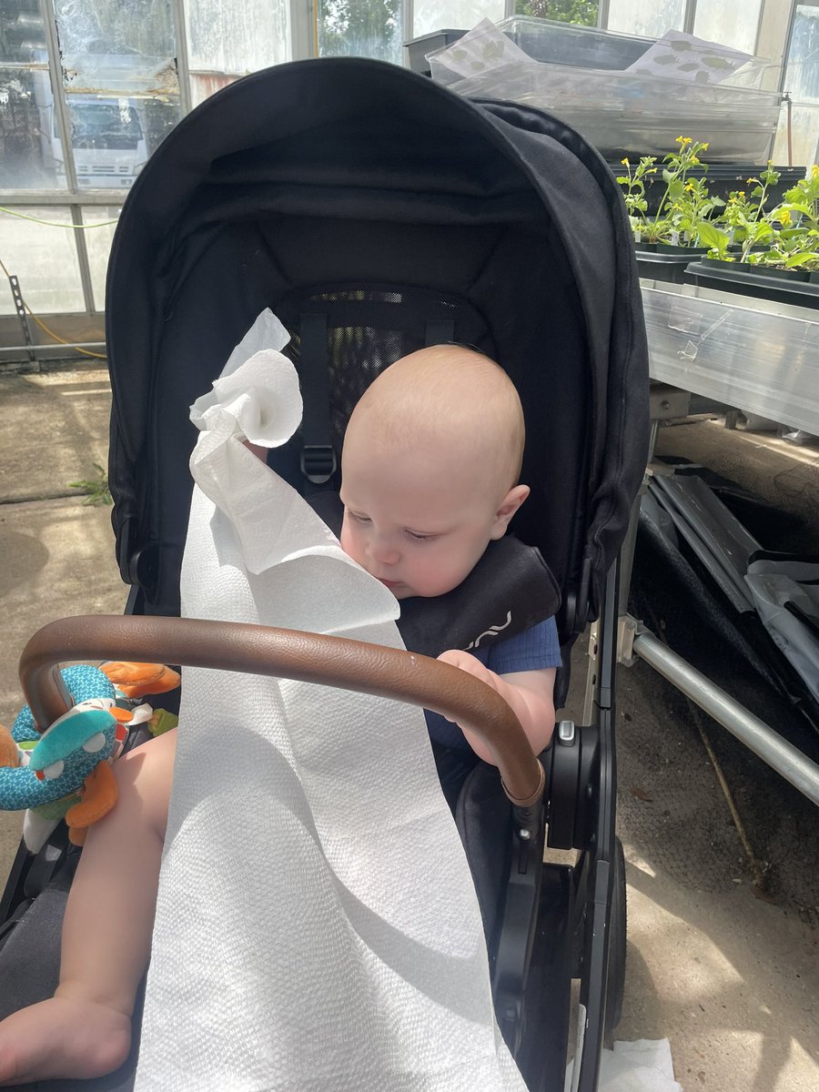 Whitney Murchison-Kastner tweet media