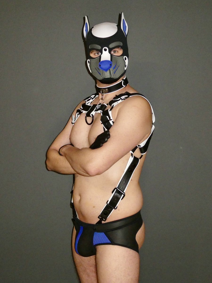 T-Bone 🔜 Darklands 2025 tweet media